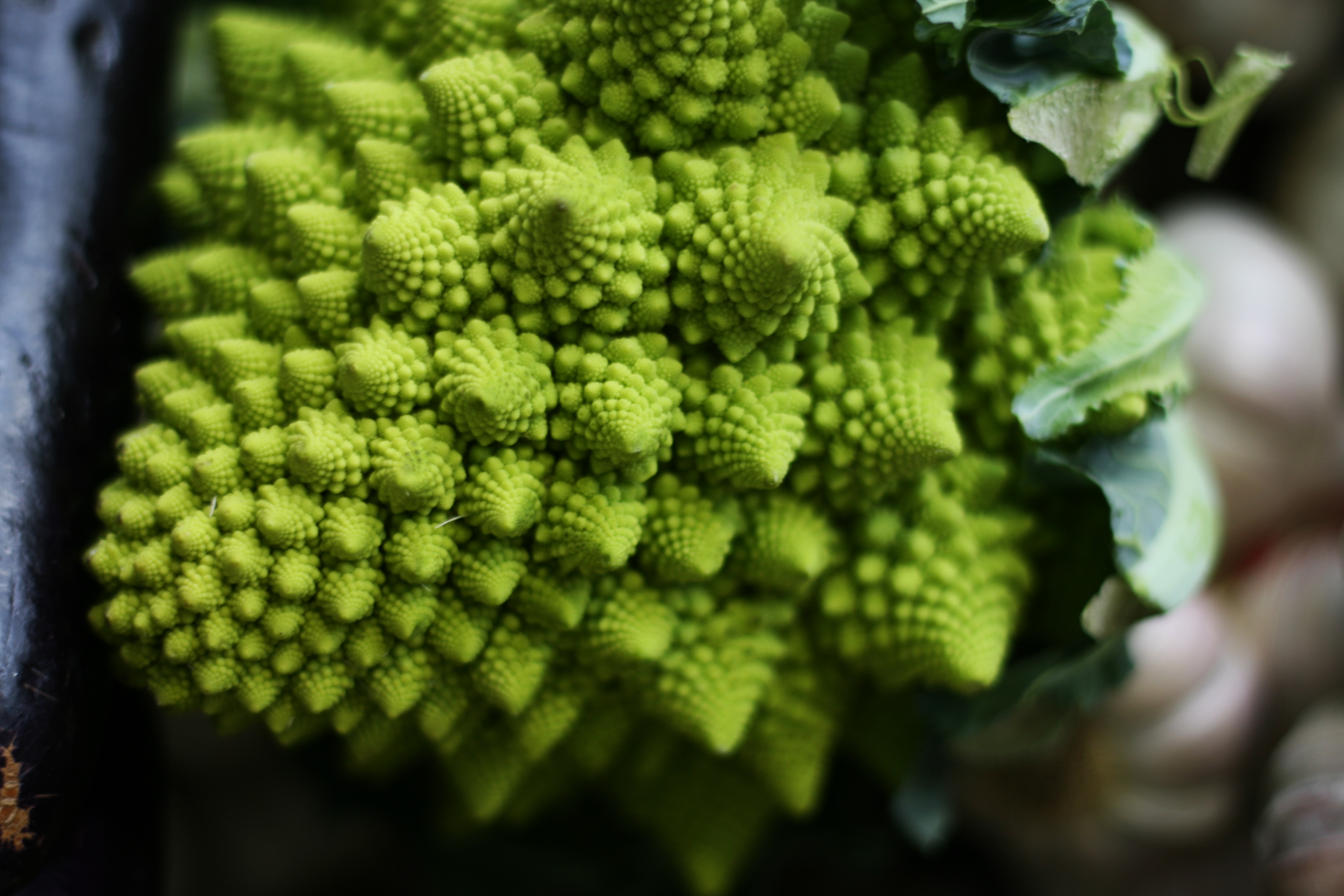 Romanesco broccoli fractal